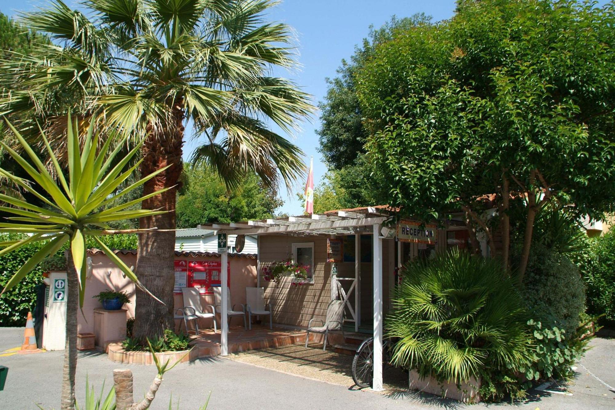 Camping Les Cigales Hotel Mandelieu La Napoule Bagian luar foto
